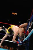 strikeforce19