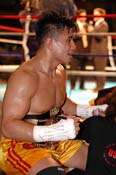 strikeforce33