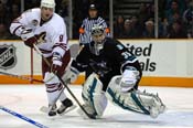 sharks_coyotes4