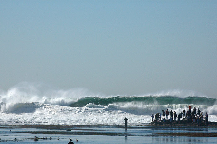 2006mavericks15
