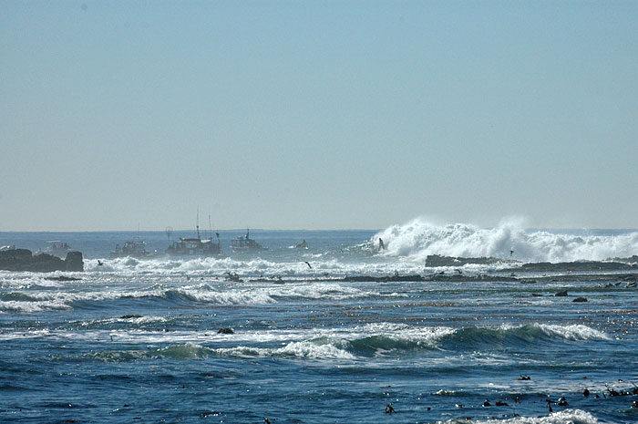 2006mavericks16