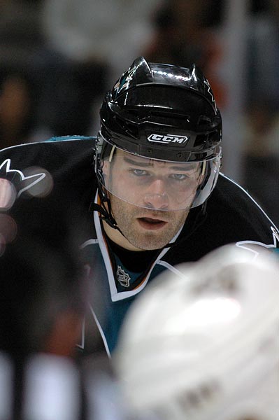 San Jose Sharks captain Patrick Marleau NHL hockey photo