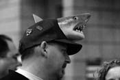 sharks_detroit15
