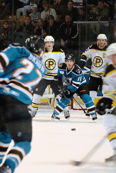AHL hockey Worcester Sharks Providence Bruins Justin Braun shot on goal