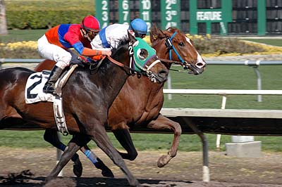 Golden Gate Fields Horse Racing